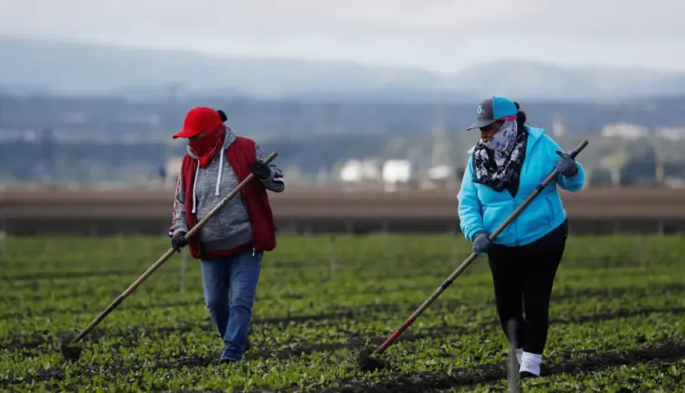 Migrantes mexicanos en EU constituyen la octava economía mundial