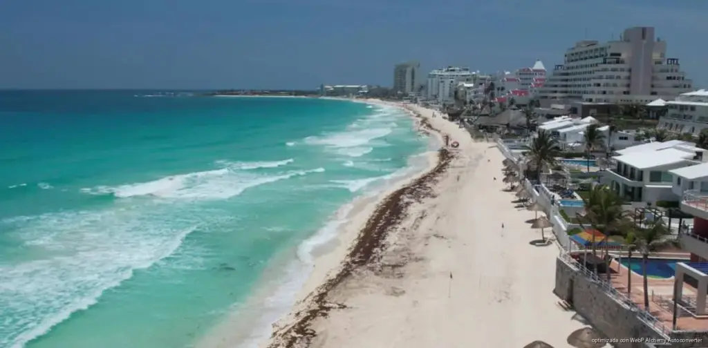 Sargazo golpea con fuerza a Playa del Carmen y Tulum; Cancún mantiene niveles bajos