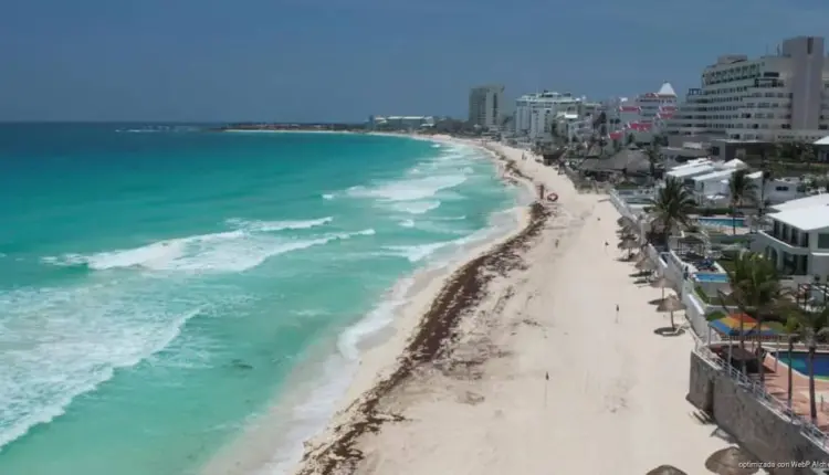 Sargazo golpea con fuerza a Playa del Carmen y Tulum; Cancún mantiene niveles bajos