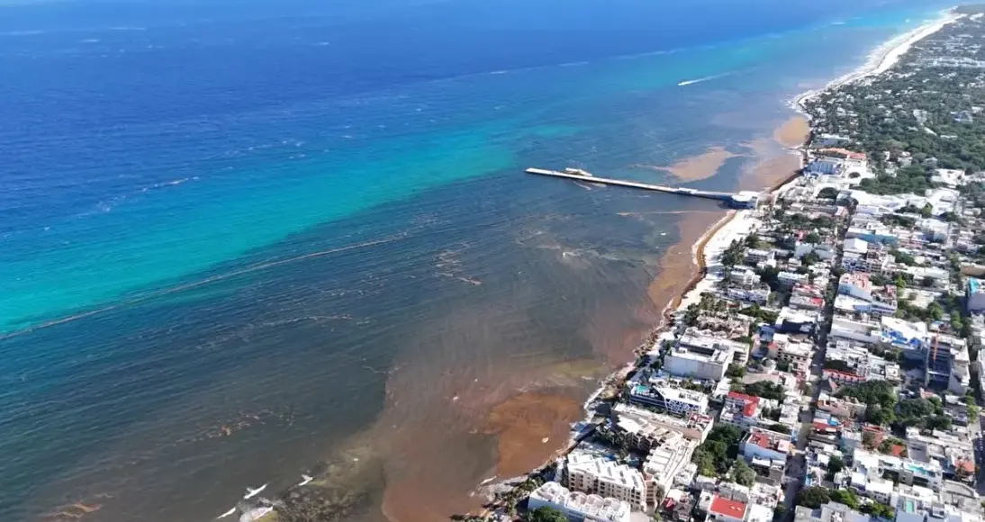 Sargazo rebasa contención y golpea actividad turística en Playa del Carmen