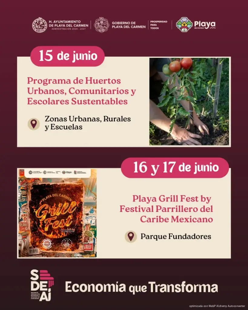 Junio concentrará capacitaciones, convocatorias y eventos para emprendedores en Playa del Carmen