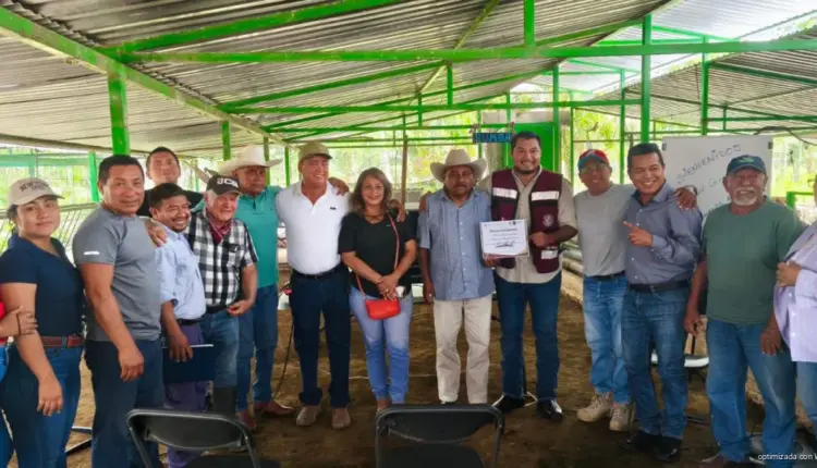 Promueven en Playa del Carmen el uso del sargazo para fortalecer la producción ganadera