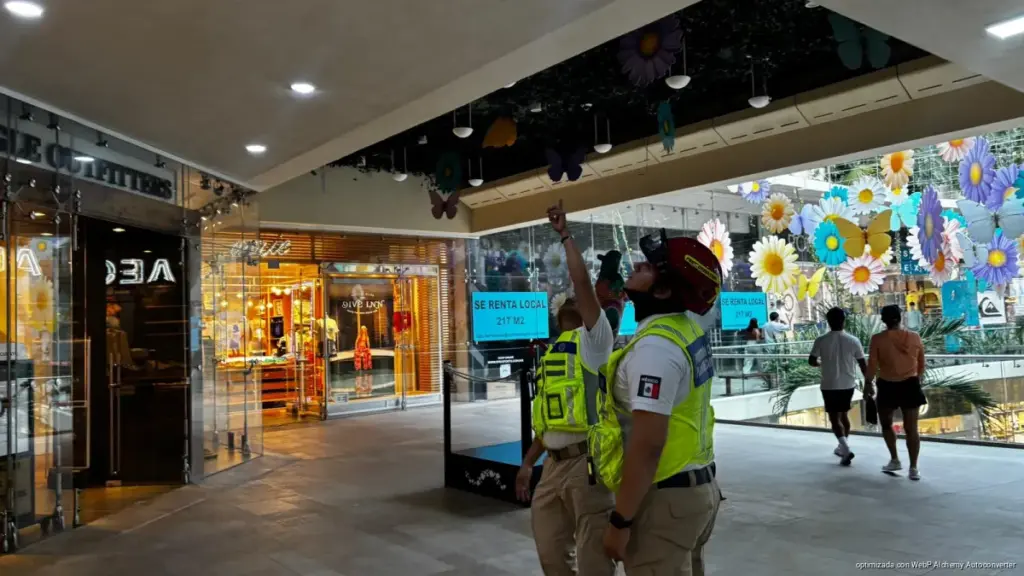 Activan protocolos de prevención en Playa del Carmen tras sismo perceptible en Quintana Roo; no reportan daños.