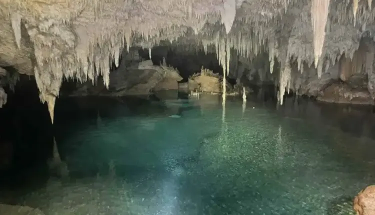 Contaminación de cenotes y denuncias en el Tren Maya elevan presión sobre el acuífero de Quintana Roo