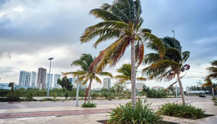 Calor de hasta 37 grados y lluvias fuertes marcarán la jornada de este martes en Quintana Roo
