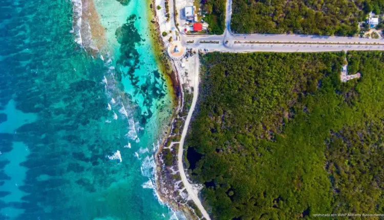 Mahahual enfrenta el dilema entre cruceros, conservación y sargazo tras cancelación de megaproyecto turístico