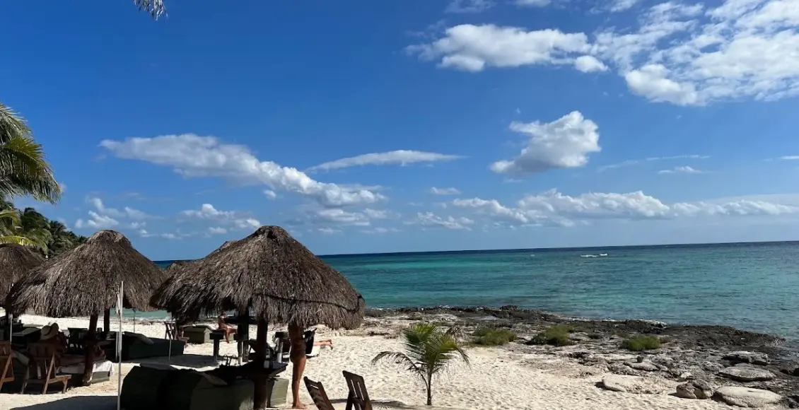 Sargazo mantiene bajo afectación crítica al 92.5 por ciento de las playas de Quintana Roo