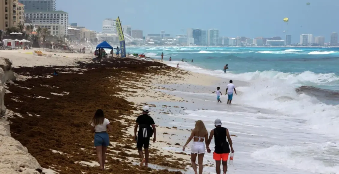 Sargazo deja playas limpias en islas y alta acumulación en Riviera Maya