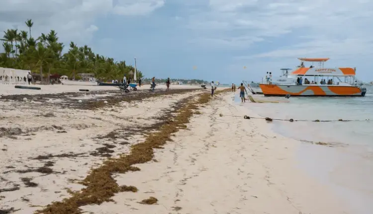 Tulum y Mahahual concentran los recales más críticos de sargazo este lunes