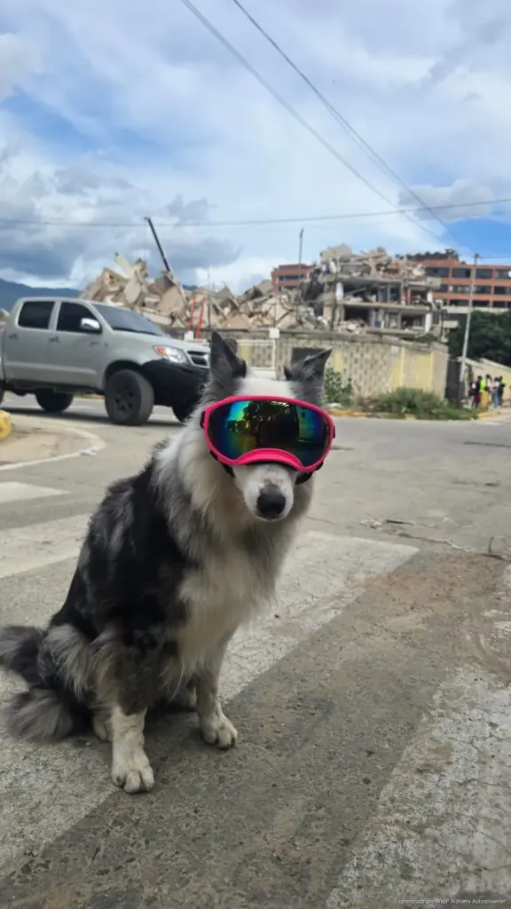 Brigada Mexicana Concluye Despliegue en Zona del Sismo en Venezuela