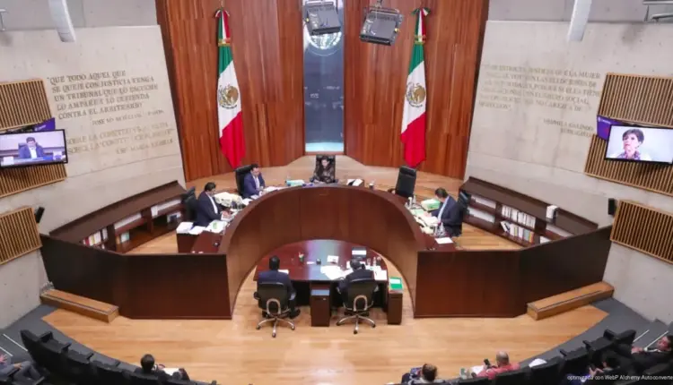 TEPJF deja sin efecto monitoreo del INE sobre ironía y sarcasmo rumbo a 2027