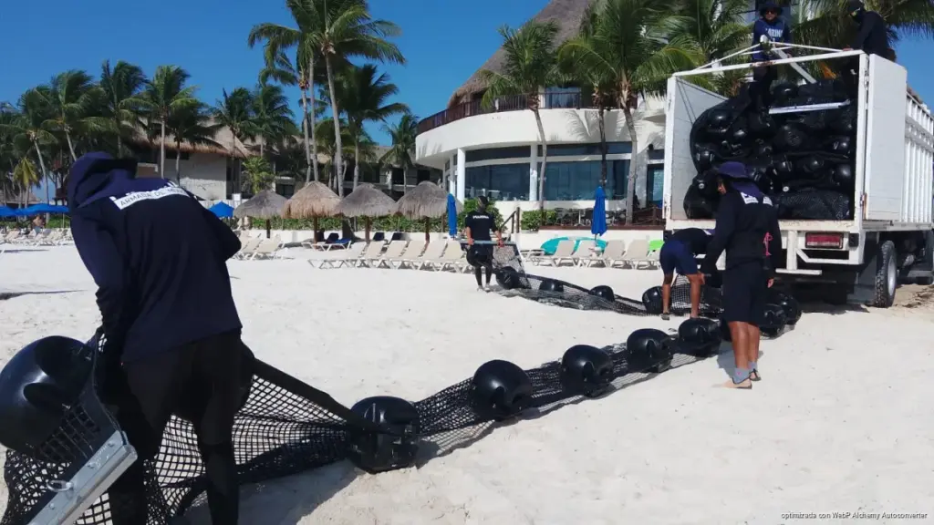 Playa del Carmen instala cinco kilómetros de barreras contra el sargazo