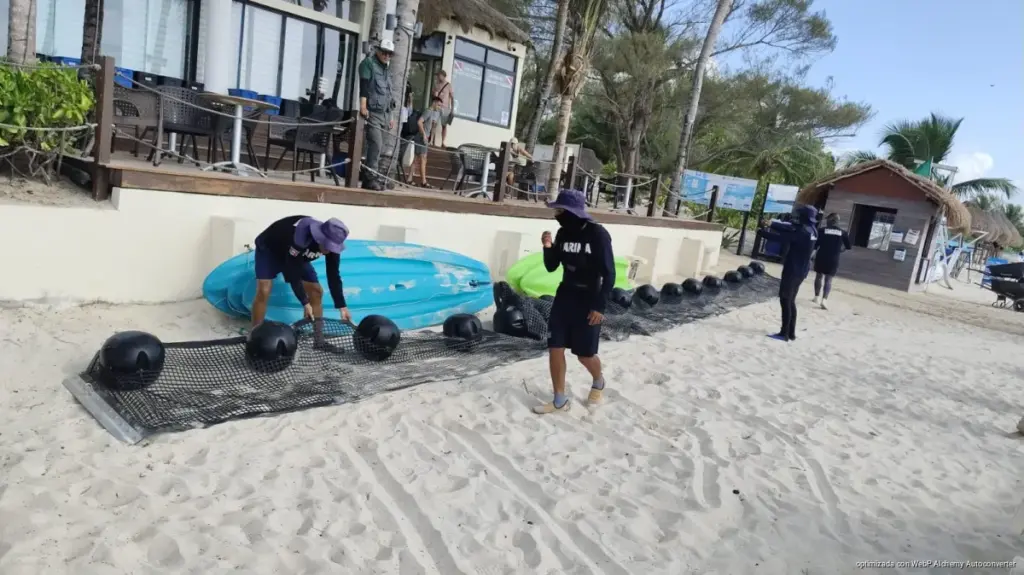 Playa del Carmen instala cinco kilómetros de barreras contra el sargazo