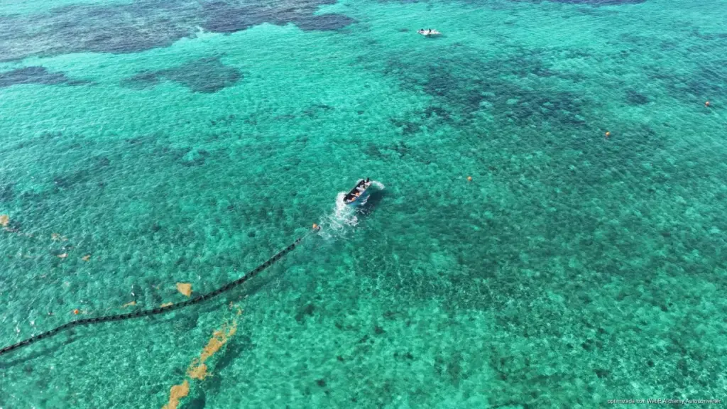 Playa del Carmen instala cinco kilómetros de barreras contra el sargazo