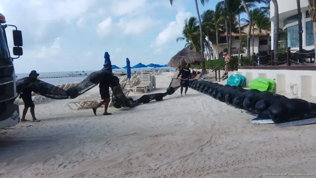 Playa del Carmen instala cinco kilómetros de barreras contra el sargazo