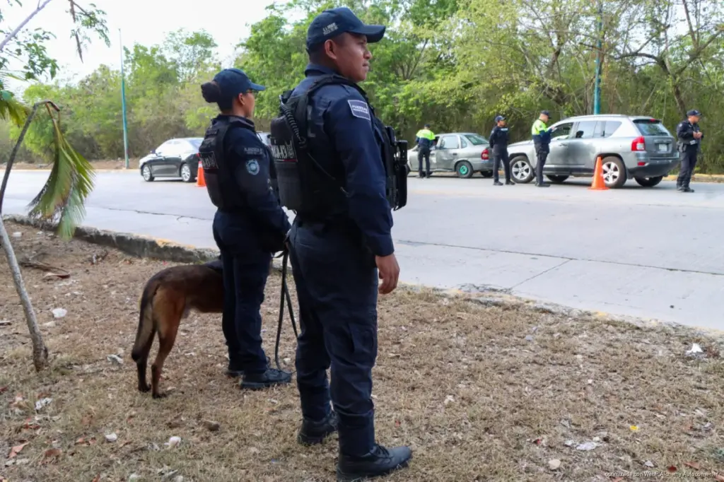 Operativo GAMA suma 158 acciones para reforzar la seguridad vial en Playa del Carmen