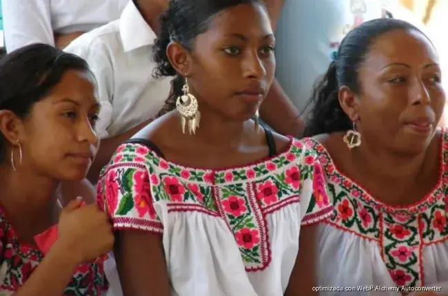 Senado reporta avance de consulta para nueva ley indígena y afromexicana