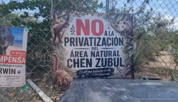 Impulsan declarar Área Natural Protegida en Chen Zubul para frenar proyectos inmobiliarios