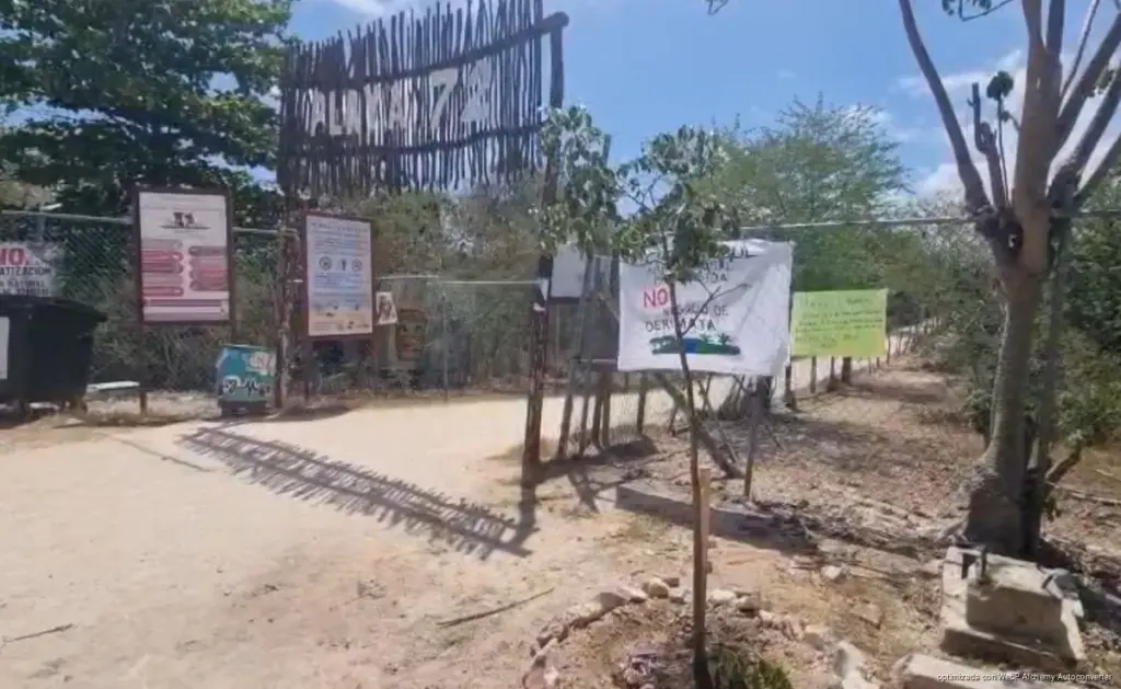 SEDETUS se deslinda de Chen Zubul y deja en manos de particulares disputa por el último pulmón verde de Playa