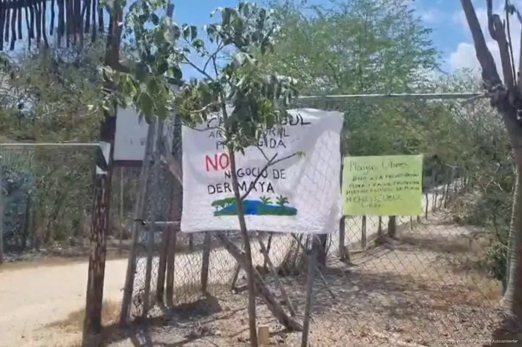 SEDETUS se deslinda de Chen Zubul y deja en manos de particulares disputa por el último pulmón verde de Playa