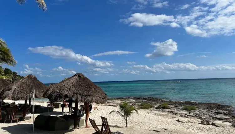 Sargazo mantiene en alerta roja a 56 playas de Quintana Roo