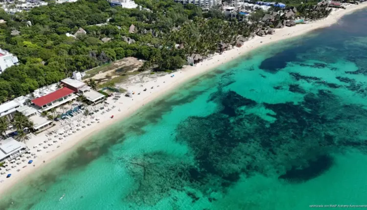 Playas de Playa del Carmen están libres de sargazo