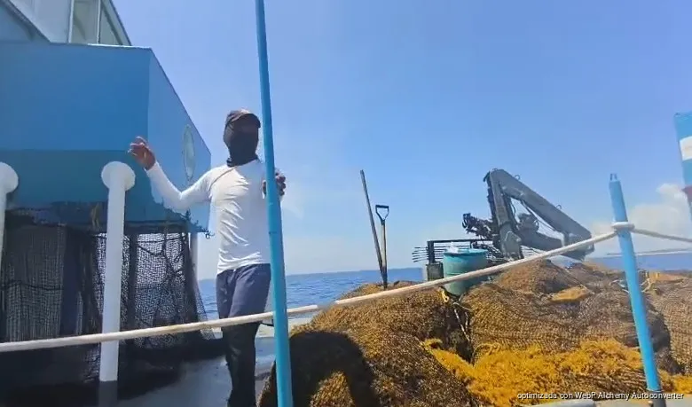 El Gobierno federal alista un plan de contención marítima para blindar las playas del Caribe mexicano