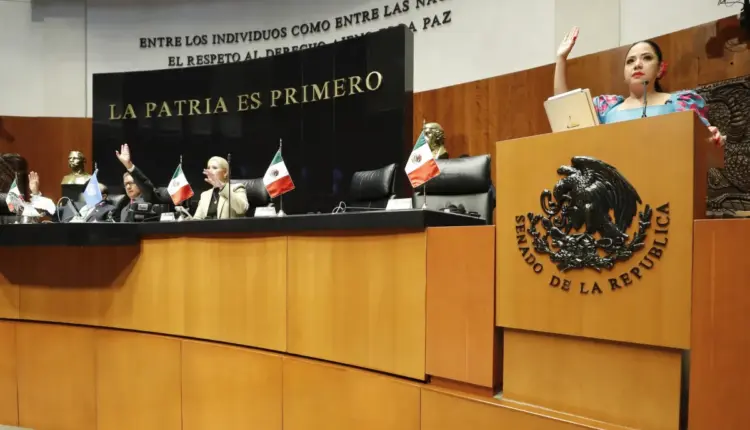 Senado aprueba ley de bienestar animal y crea registro nacional de mascotas