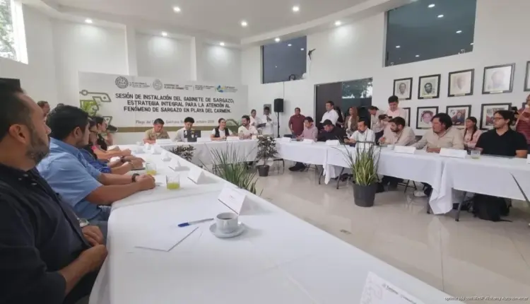 Sargazo en Playa del Carmen tendrá nueva estrategia de atención para 2027
