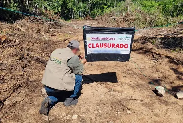 Clausuran predio en Playa del Carmen por la remoción de vegetación